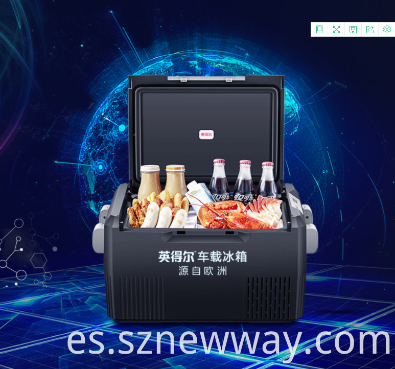 Indelb Portable Mini Car Refrigerator